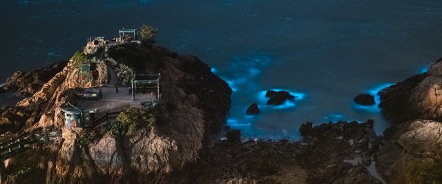 北海坑道で夜間に藍眼涙(青の涙）を観賞