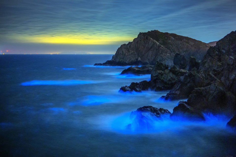 Blue Tears – Photography by Ho Nan-Hui_no