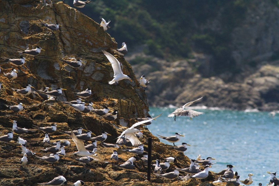 Sea View of Juguang Ecological Bird Watching (provided by Matsu National Scenic Area Headquarters)_no
