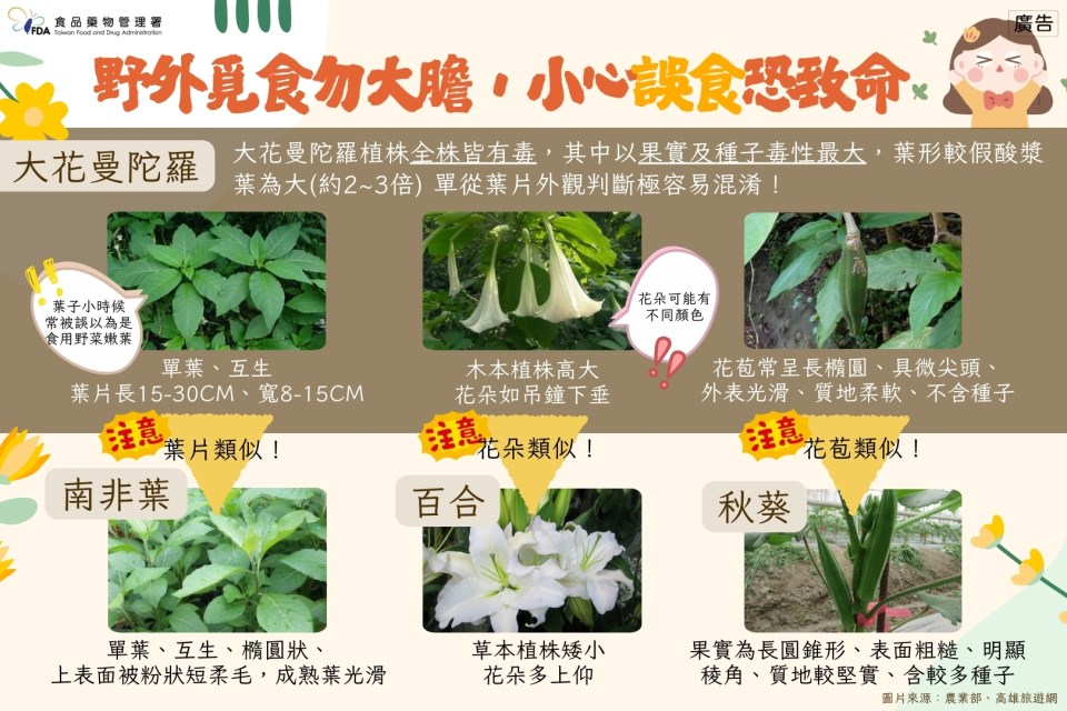 野外覓食勿大膽，小心誤食恐致命_no