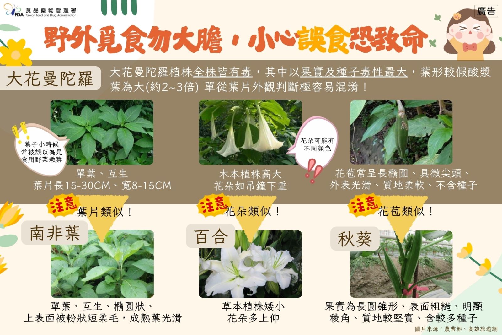 野外覓食勿大膽，小心誤食恐致命