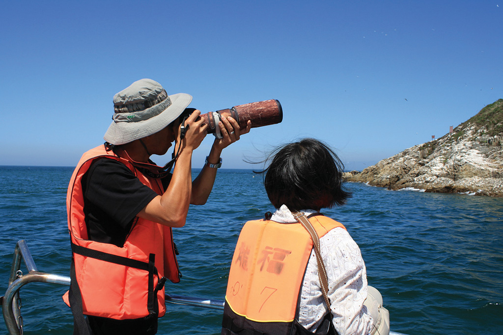 Watch terns with binoculars on a tourist boat.