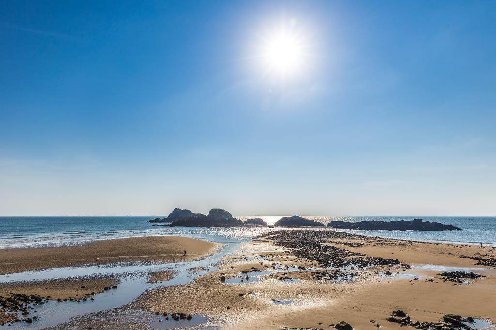 蛇島