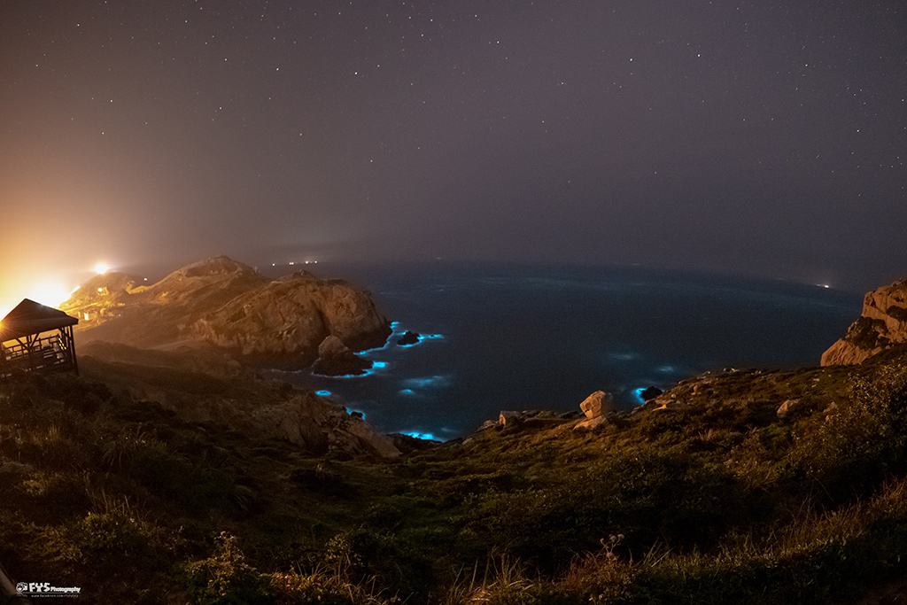 神祕小海灣的藍眼淚
